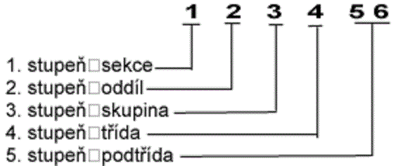 klasifikace CZ-CC