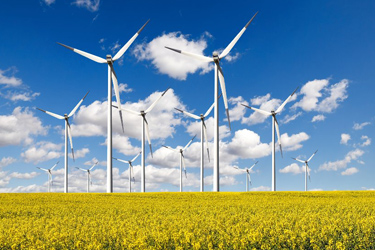 Firmy mohou začít žádat o dotace na výstavbu větrných elektráren. Pro žadatele je připraveno celkem půl miliardy korun Firmy mohou začít žádat o dotace na výstavbu větrných elektráren (text)